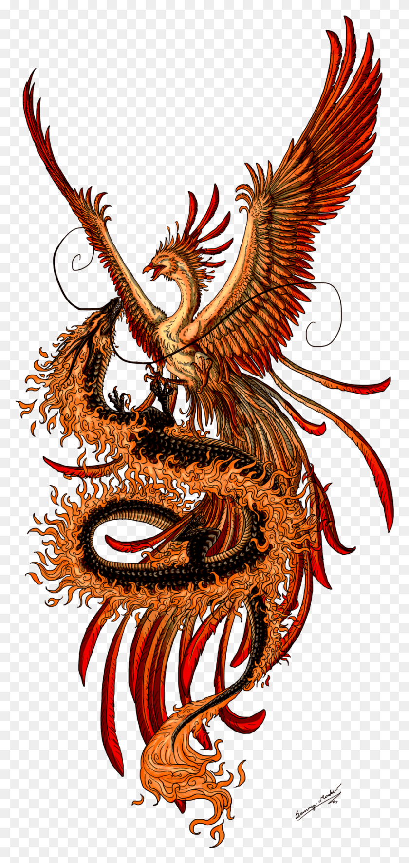 857x1882 Phoenix Tattoo Designs Female Dragon And Phoenix, Pattern, Ornament, Fractal HD PNG Download