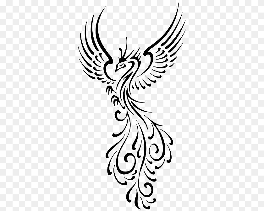 353x673 Phoenix Tattoo Designs Female Tribal Phoenix, Pattern, Graphics, Art, Floral Design PNG