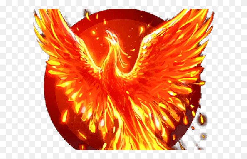 626x481 Phoenix Transparent Images Fire Bird, Bonfire, Flame, Outdoors HD PNG Download