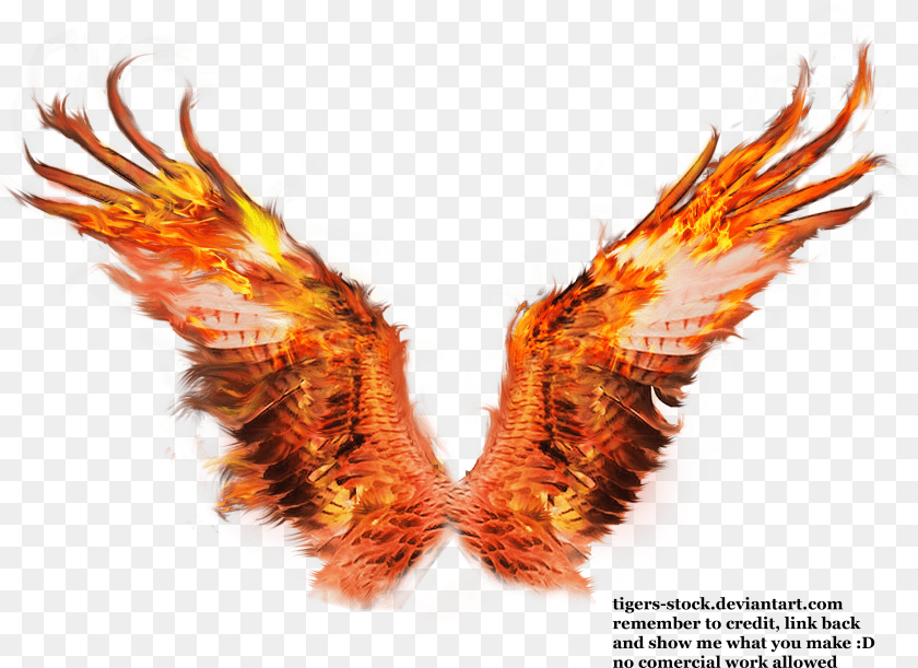 3301x2401 Phoenix Wings Drawing At Phoenix Wings Background Transparent PNG