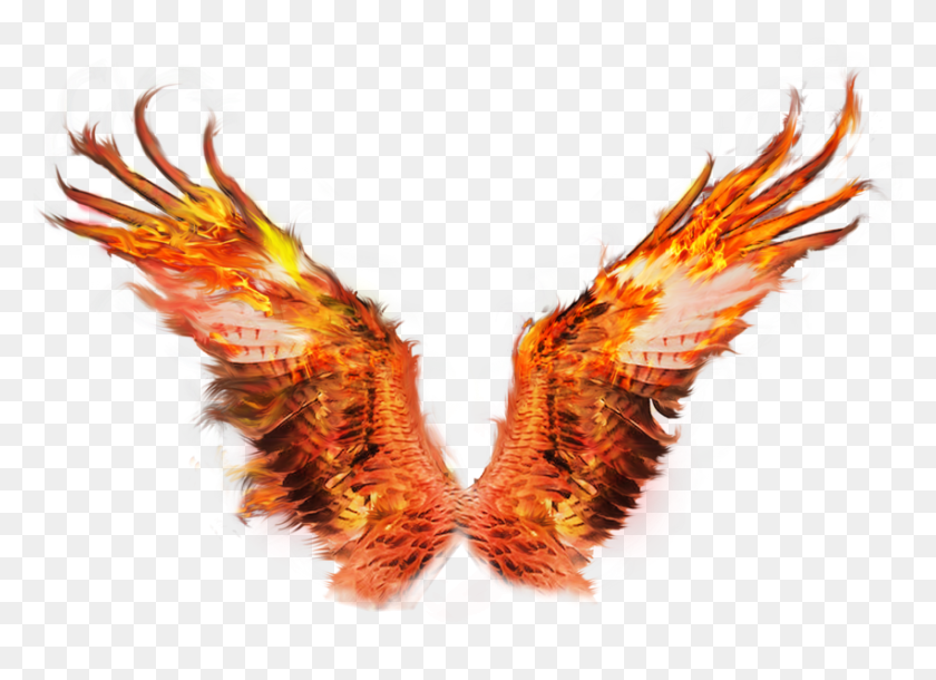 850x600 Phoenix Wings Transparent Fire Wings, Ornament, Pattern, Fractal HD PNG Download