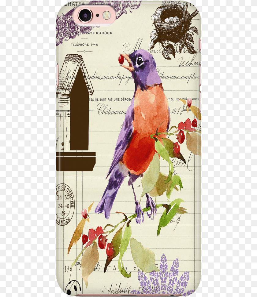 477x973 Phone Case American Robin Mobile Phone, Animal, Bird, Jay PNG