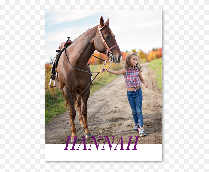 493x632 Photo Birthday Thank You Card Stallion, Horse, Mammal, Animal HD PNG Download
