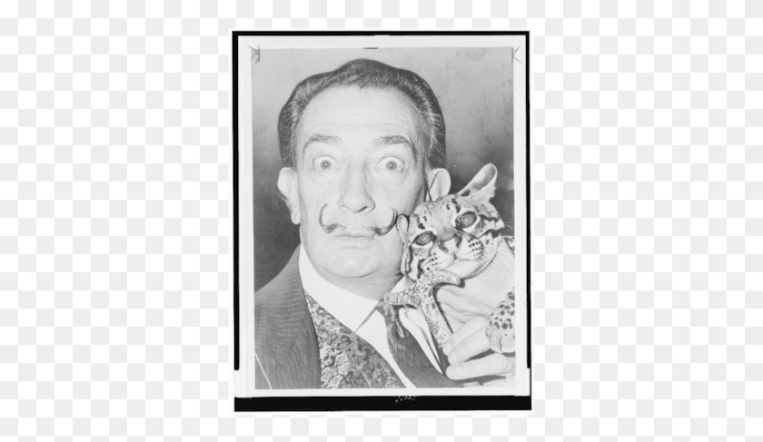 339x427 Photo Courtesy Library Of Congress Salvador Dali With Cat, Face, Person, Mammal HD PNG Download