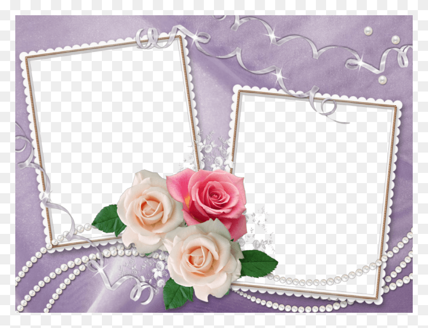 1040x780 Photo Frame, Rose, Flower, Plant HD PNG Download