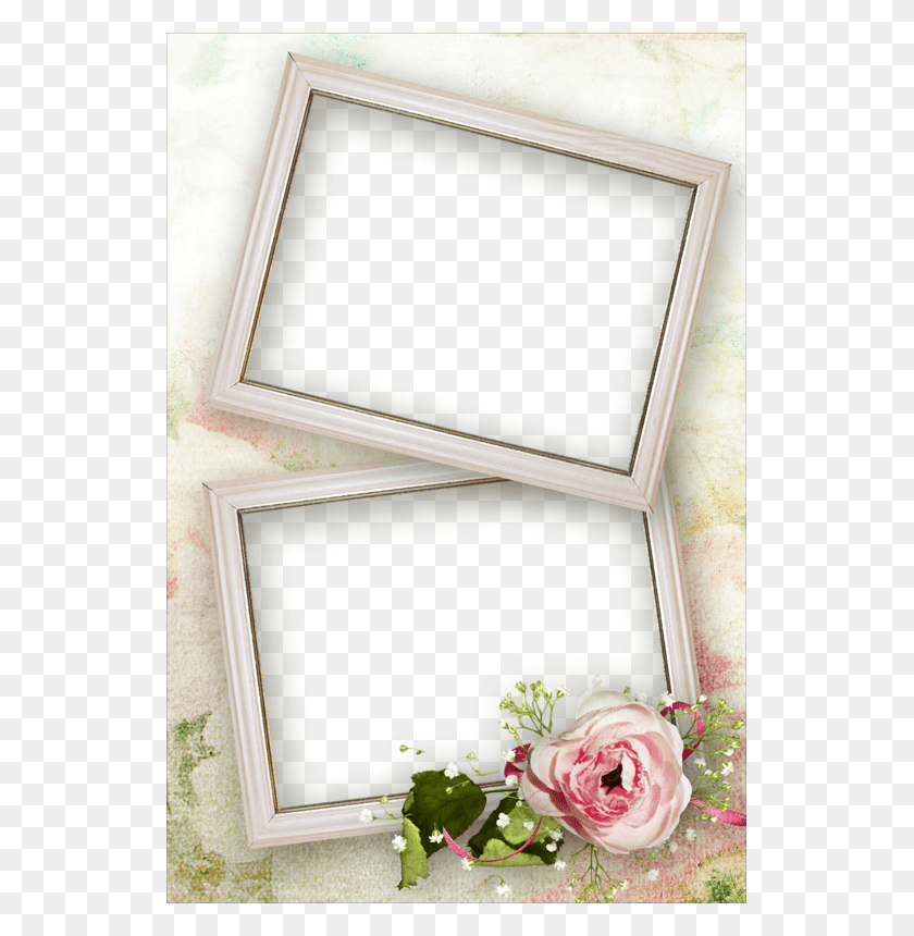 533x800 Photo Frame Clipart Picture Frames Clip Art Frame 2 Foto, Plant, Rose, Flower HD PNG Download