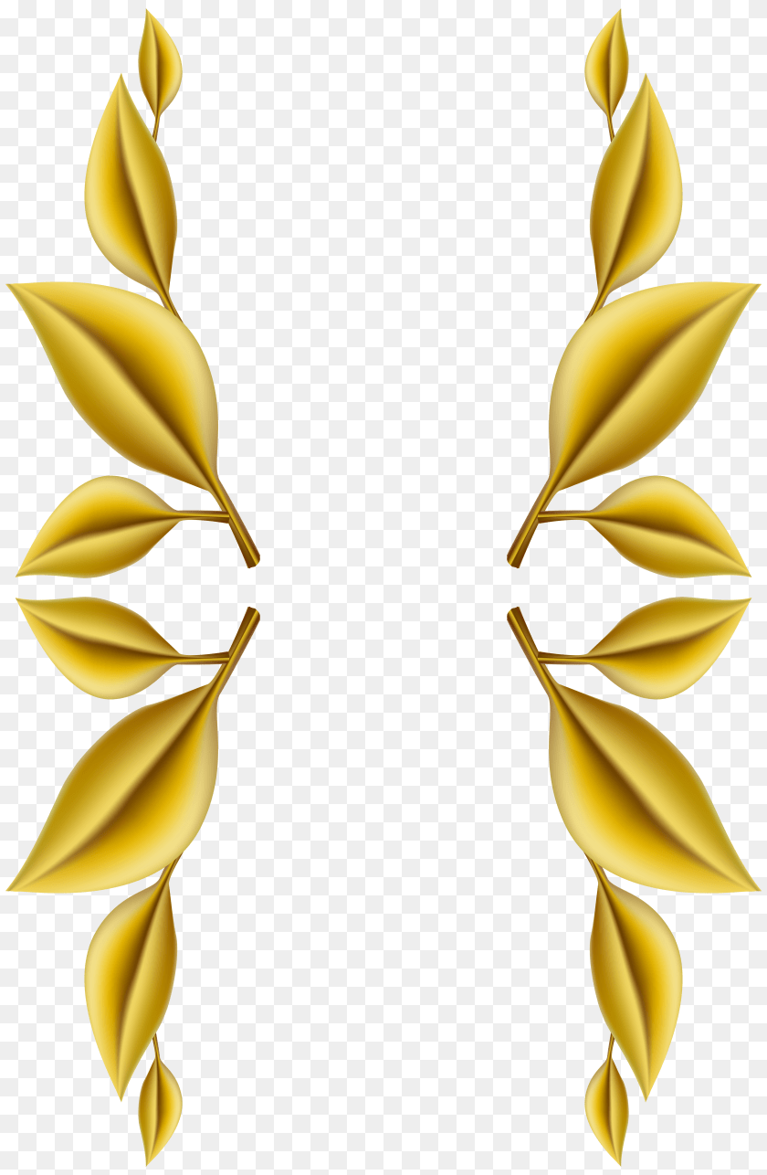 Photo Gold Leaf Border PNG