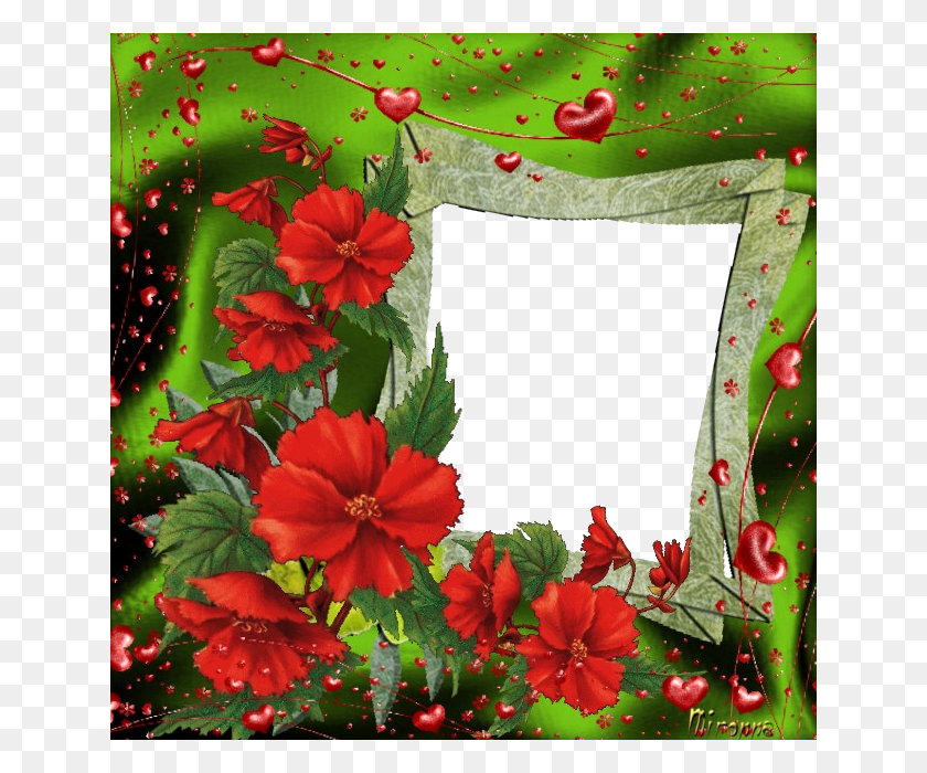 640x640 Фото Love02 Гавайский Гибискус, Графика, Растение Hd Png Скачать
