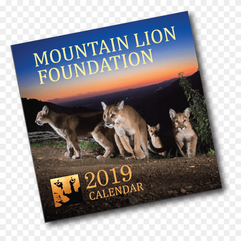 970x968 Photo Of 2019 Calendar Cover Mountain Lion, Cougar, Wildlife, Mammal HD PNG Download