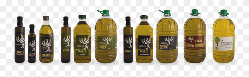 1033x268 Photo Of All Olive Oils Of Molinos De Aceite De Toledo Plastic Bottle, Liquor, Alcohol, Beverage HD PNG Download