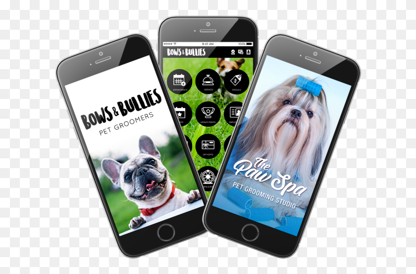 621x494 Photo Of Example Of Custom Pet Grooming Business Apps Iphone, Phone, Electronics, Mobile Phone HD PNG Download