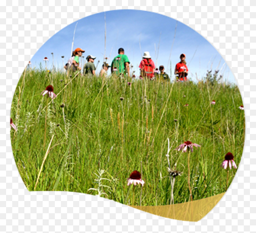 1281x1159 Photo Of Membership Package Grass, Person, Adventure, Leisure Activities HD PNG Download