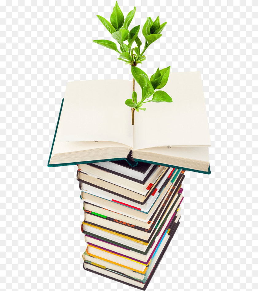 537x947 Photo Of Plant Growing From A Stack Of Books Go Green Light Bulb, Book, Publication Sticker PNG