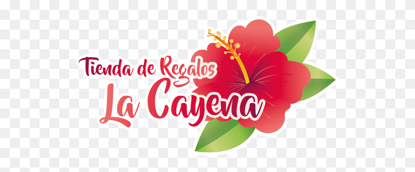 539x289 Фотография Сделана В Tienda De Regalos La Cayena Йекстом Гавайский Гибискус, Растение, Цветок, Цветение Hd Png Скачать