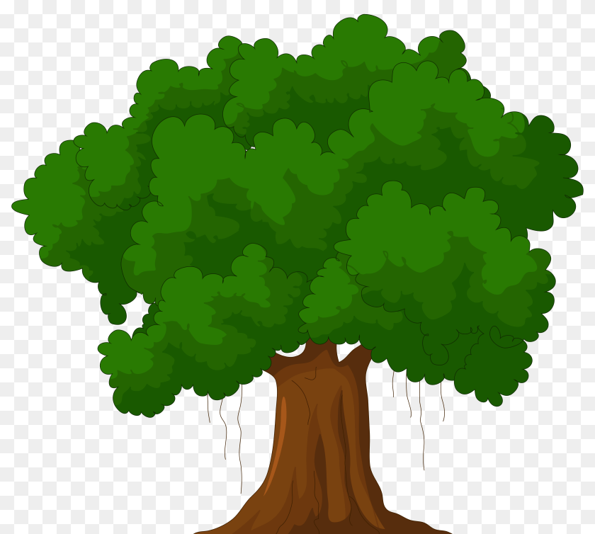 4992x4478 Photo Tree, Green, Potted Plant, Plant, Vegetation Clipart PNG