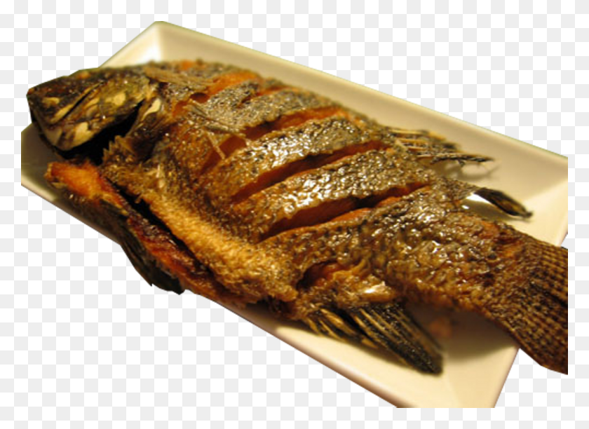 1200x850 Photobenito Transparent Fried Fish, Food, Bread, Animal HD PNG Download