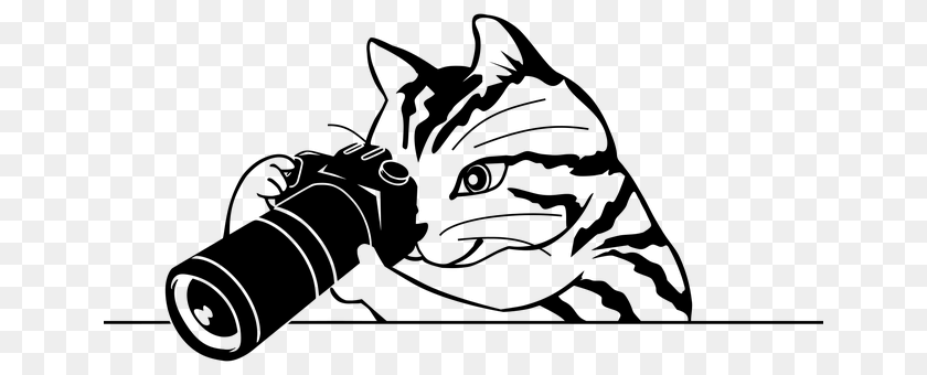 Photographer Gray Transparent PNG
