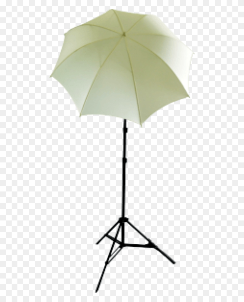 500x981 Photography, Lamp, Umbrella, Canopy HD PNG Download