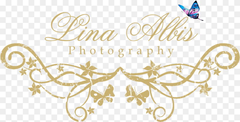 888x450 Photography Logo File Calligraphy, Graphics, Art, Pattern, Floral Design Clipart PNG