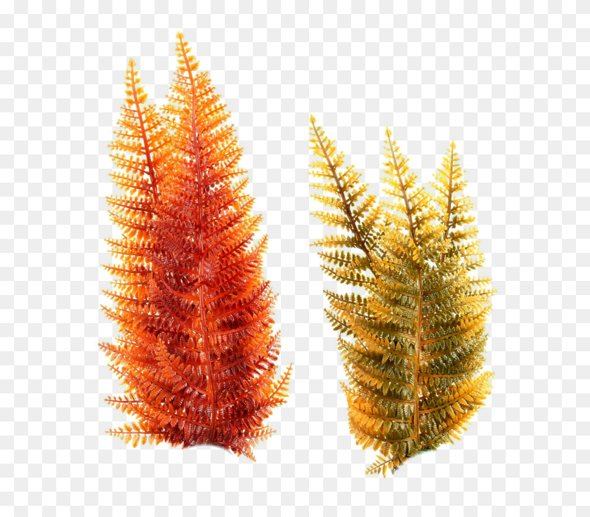 Photos Sea Clipart Underwater Plants, Plant, Leaf, Tree HD PNG Download
