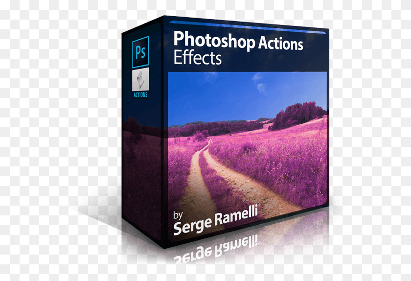 570x514 Photoshop Actions Effects Black And White Artistic Brochure, Plant, Lavender HD PNG Download