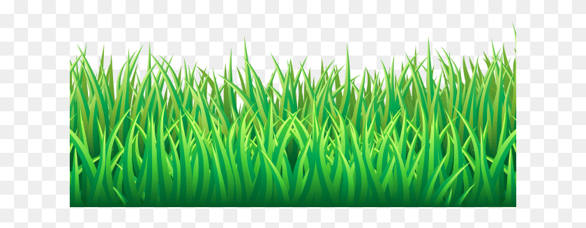 641x268 Photoshop Clipart Format, Grass, Plant, Lawn HD PNG Download