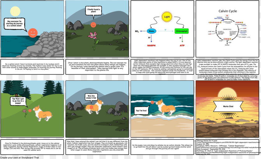 1694x1036 Photosynthesis Calvin Cycle, Book, Comics, Publication, Animal Sticker PNG