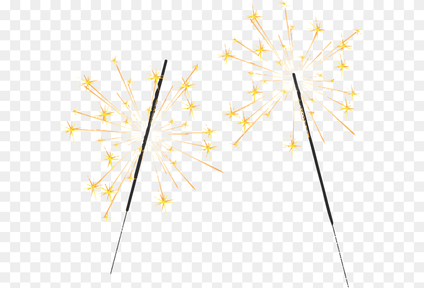 Phuljhadi, Plant, Flower, Fireworks, Nature Transparent PNG
