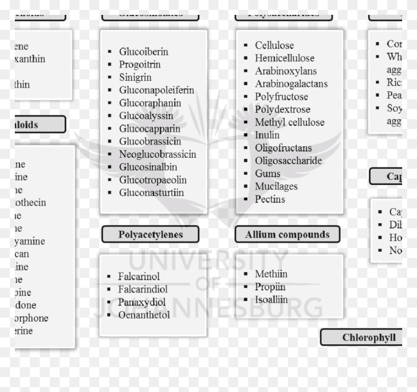850x796 Phytochemical Classification, Word, Diagram, Plot HD PNG Download