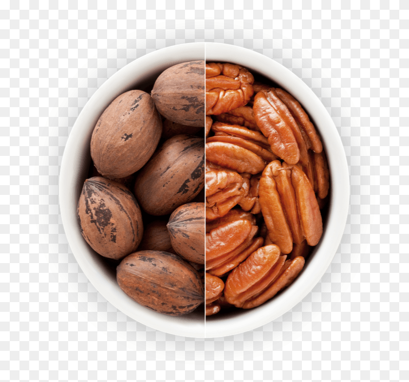 715x724 Phytonutrients Pecan, Plant, Seed, Nut HD PNG Download