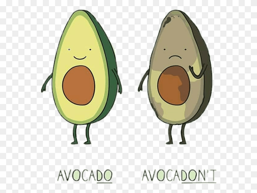 576x571 Pic Credit To Owner Cartoon, Plant, Fruit, Food HD PNG Download