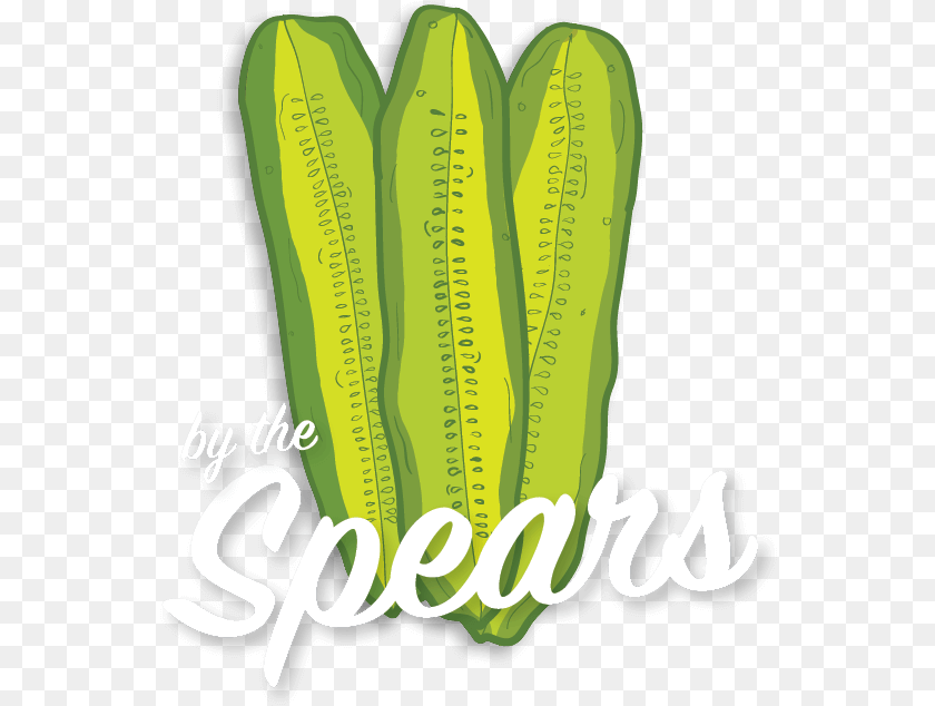 555x634 Pickle Spears Illustration Calligraphy, Food, Relish, Dynamite, Weapon Sticker PNG