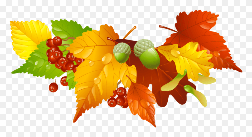 1044x532 Picture Autumn Leaves And Acorns Decor Picture Hst Clipart, Plant, Leaf, Food HD PNG Download