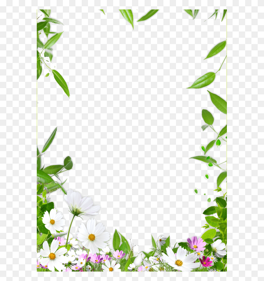605x833 Picture Ceiling Flower Frame Border Drawing Clipart Floral Borders Design, Plant, Flower, Blossom HD PNG Download