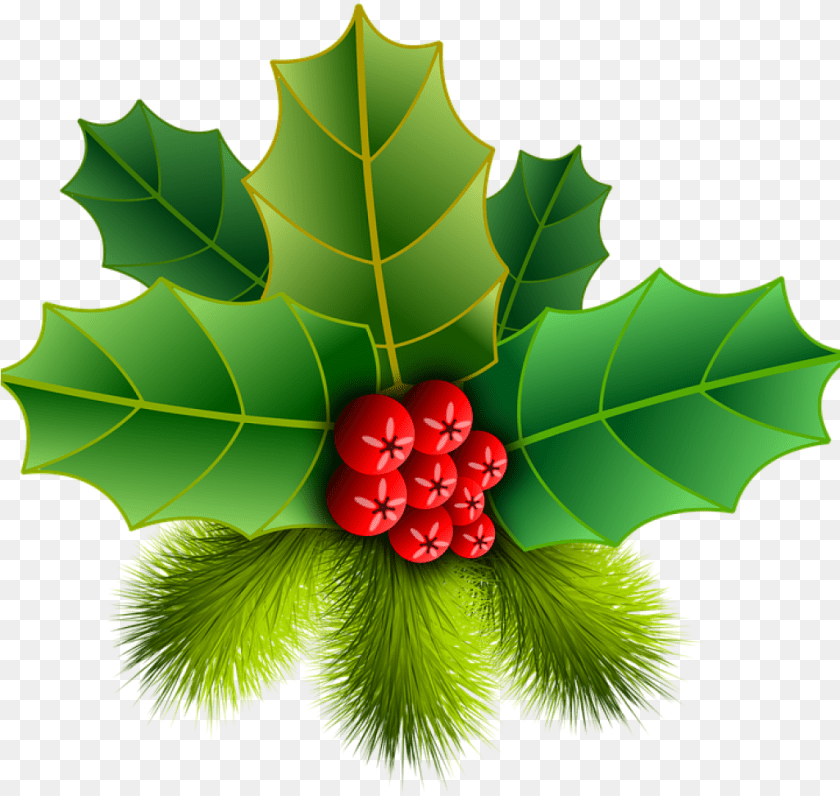 1025x971 Picture Christmas Holly Pinheiro Free Christmas Holly Clipart, Leaf, Plant, Food, Fruit Sticker PNG