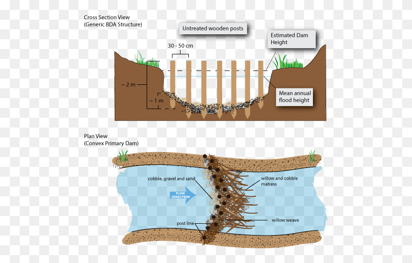 499x476 Picture Cross Section Of A Beaver Dam, Text, Clothing, Apparel HD PNG Download