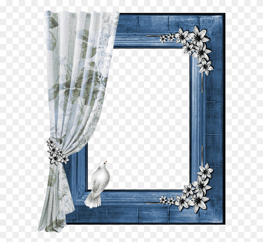 601x712 Picture Frame, Bird, Animal, Furniture HD PNG Download