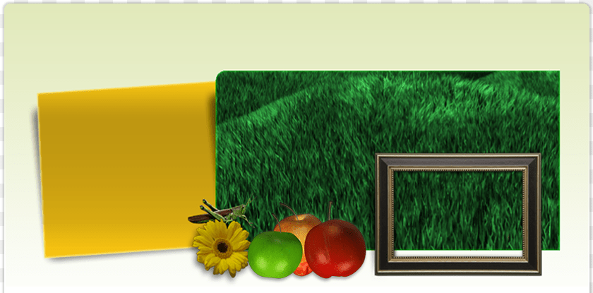 839x415 Picture Frame, Apple, Food, Fruit, Plant Sticker PNG