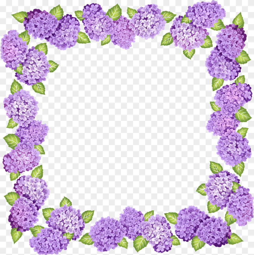 Picture Frame Transparent Flower, Purple, Plant, Geranium, Dahlia Clipart PNG
