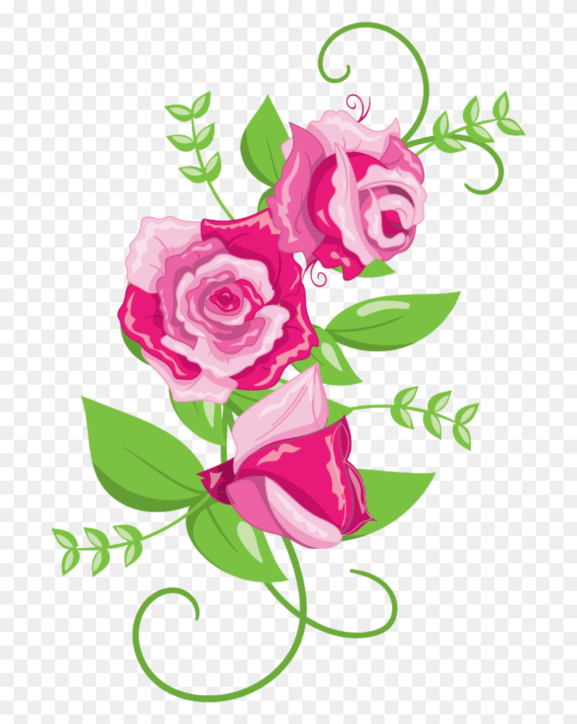 693x994 Descargar Png Marco De Imagen Círculo Clip Art Rosa 1280 Floribunda, Planta, Diseño Floral, Patrón Hd Png