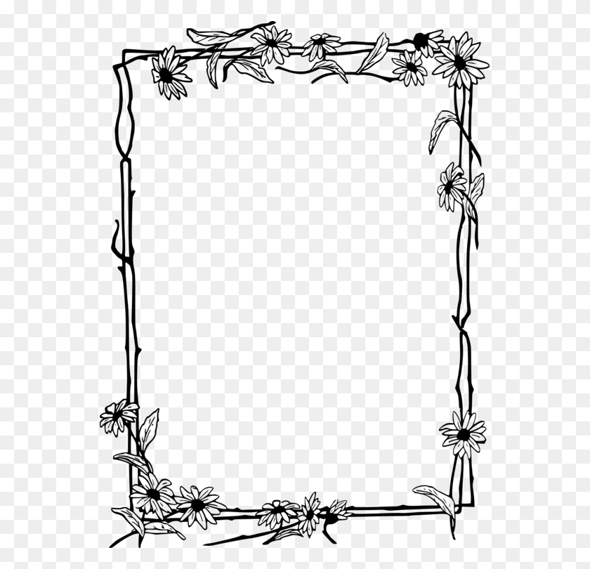 555x750 Picture Frames Common Daisy Drawing Black And White Designer Outlines Of Paper, Gray, World Of Warcraft HD PNG Download
