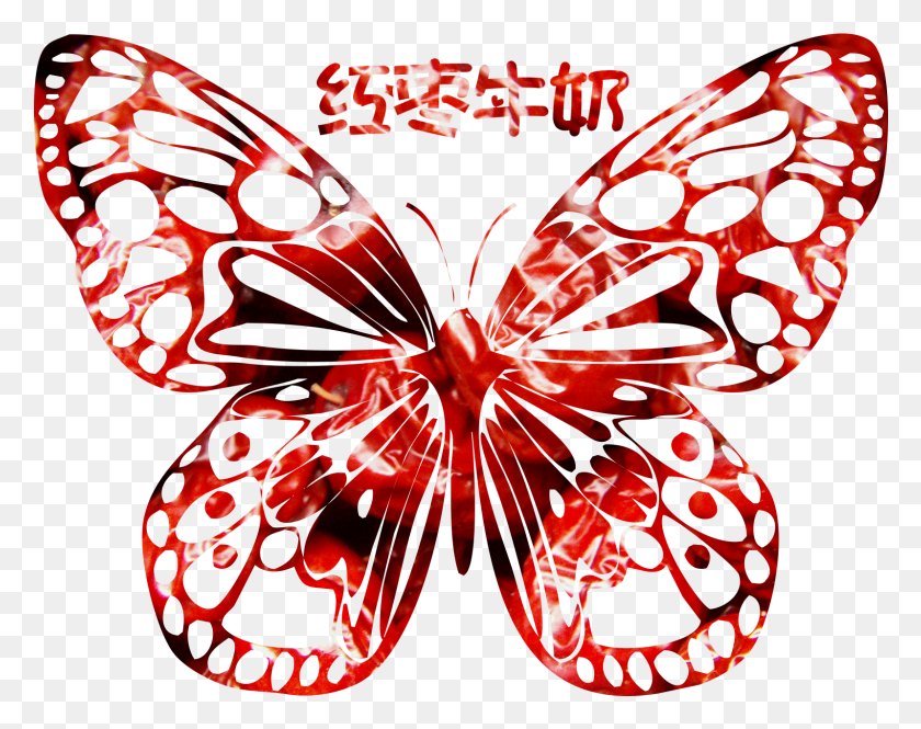 1598x1241 Picture Free Curtain Clip Butterfly Lepidoptera, Pattern, Graphics HD PNG Download