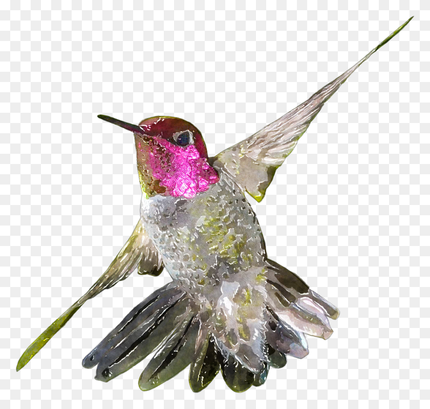 1676x1587 Picture Free Library Hummingbird Clipart Watercolor, Bird, Animal, Insect HD PNG Download