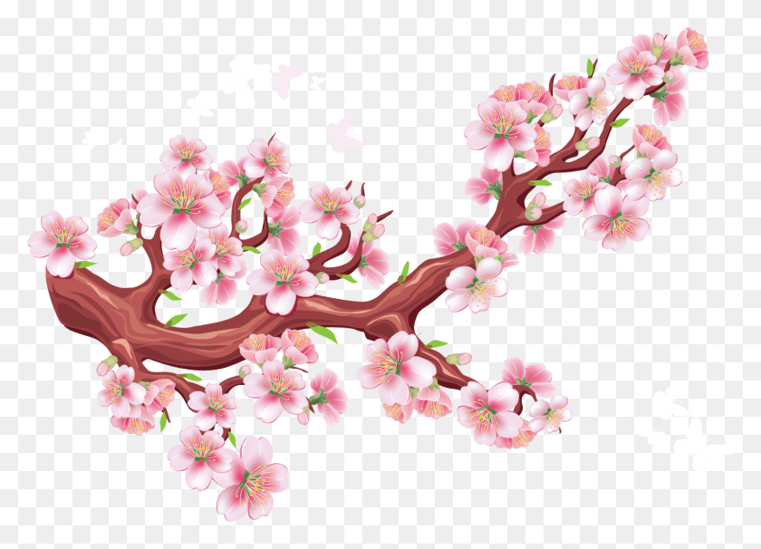 1600x1121 Picture Freeuse Flower Branch Transprent Nh Tt P 2019, Plant, Cherry Blossom, Blossom HD PNG Download