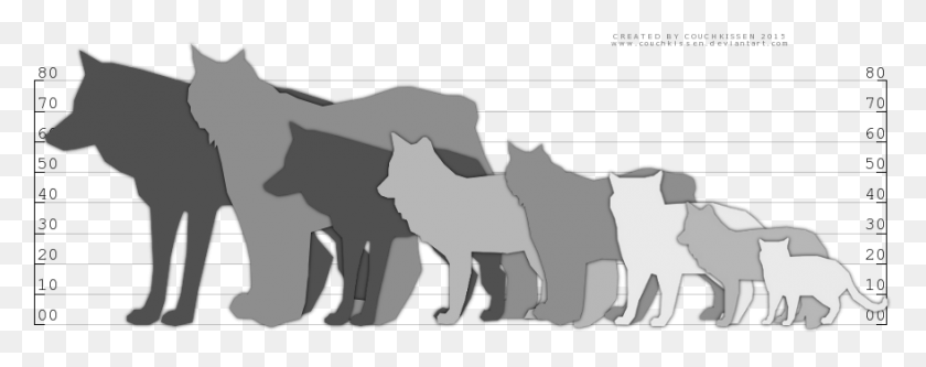 879x308 Png Изображение - Рысь, Рысь, Рысь, Кошка. Сравнение Размеров Кошек, Волк, Млекопитающее, Животное, Hd Png.