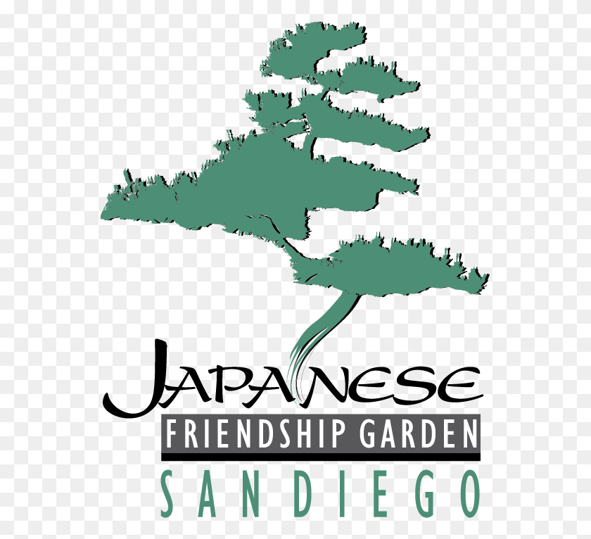 553x706 Рисунок Японского Сада Дружбы, Растение, Дерево, Участок Hd Png Скачать