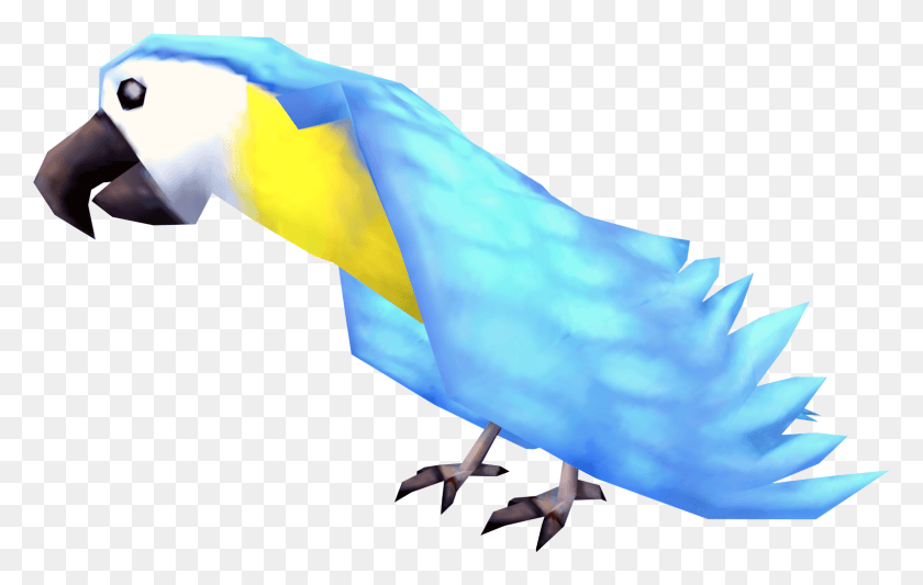 1567x952 Picture Library Image Azure Runescape Wiki Fandom Polly The Parrot Runescape, Person, Human, Animal HD PNG Download