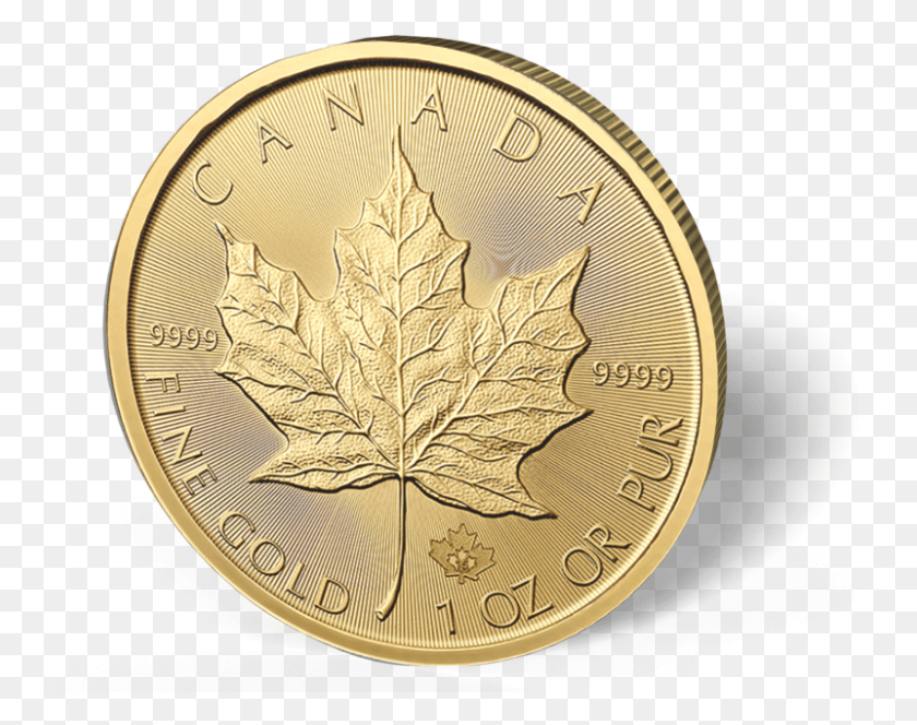 801x621 Picture Of 1 Oz Canadian Gold Maple Leaf Coins Canadian Gold Maple Leaf, Coin, Money, Leaf HD PNG Download