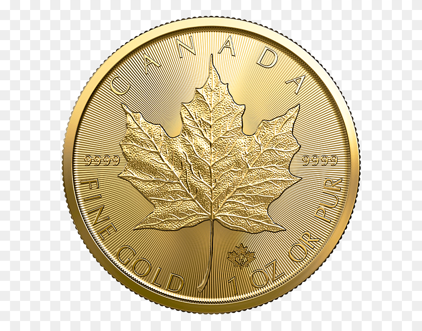 600x600 Канадский Золотой Кленовый Лист 1 Унция 2019 Золотая Монета 10 Корона, Деньги, Птица, Животное Hd Png Скачать