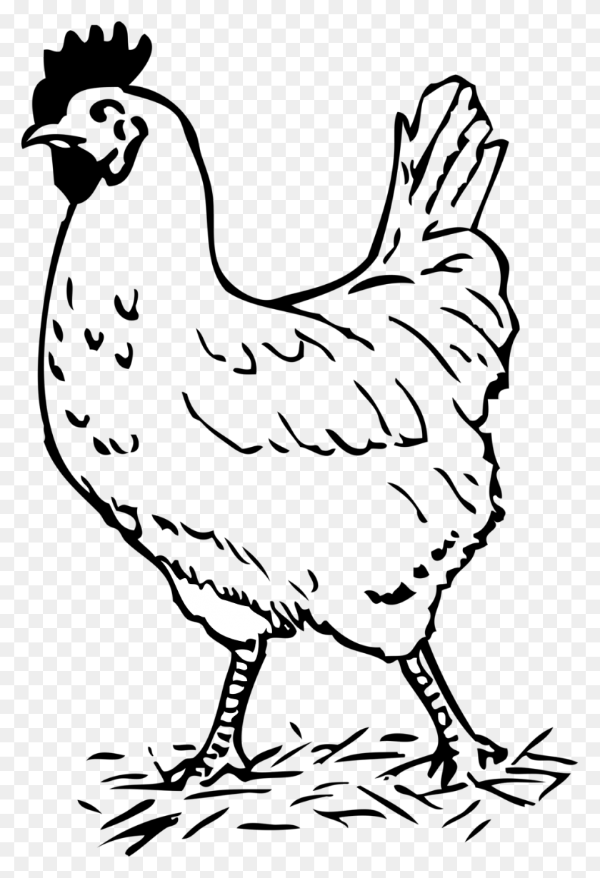 958x1437 Picture Of A Rooster Hen Images Black And White, Bird, Animal, Symbol HD PNG Download